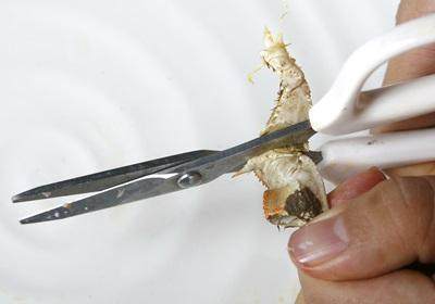 陽澄湖大閘蟹怎么吃？食陽澄湖大閘蟹注意事項(xiàng)