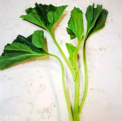 冬寒菜多少錢一斤？
