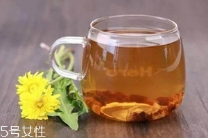 蒲公英茶可以天天喝嗎？不要長期喝