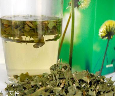 蒲公英茶可以天天喝嗎？不要長期喝