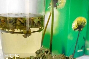 蒲公英茶哪些人不宜喝？這三種人要避開