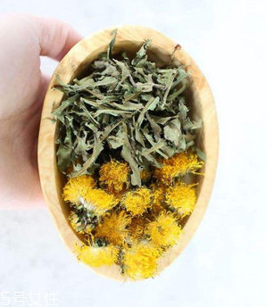 蒲公英茶哪些人不宜喝？這三種人要避開