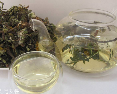 蒲公英茶怎么做？蒲公英茶做法超簡單