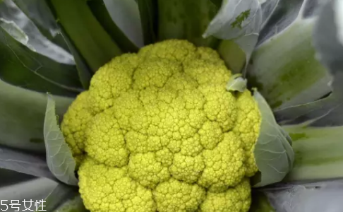 花菜在冰箱能放幾天？不要超過(guò)7天