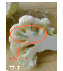 花菜怎么洗才干凈？一定要把蟲子洗掉