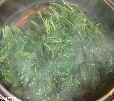 香椿涼拌怎么做好吃？超級簡單的3道開胃菜