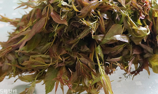 香椿水餃怎么做好吃？超詳細(xì)香椿豆腐餃子做法