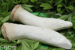 杏鮑菇熟了是什么樣？變軟了就能吃
