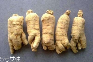 西洋參會(huì)回奶嗎？不用擔(dān)心這個(gè)問題