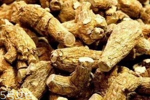 西洋參會過敏嗎？不排除這種可能