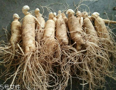 西洋參會推遲月經(jīng)嗎？這個是有可能的