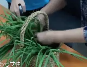 韭菜怎么保存時(shí)間長(zhǎng)？真空保存最持久