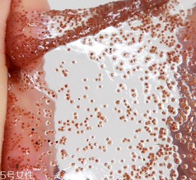 半畝花田海藻面膜怎么樣？