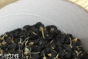 黑枸杞能和紅枸杞一起泡嗎？