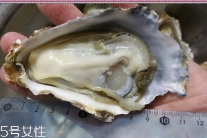 生蠔會(huì)有寄生蟲(chóng)嗎？不生吃就沒(méi)關(guān)系