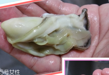 生蠔會(huì)有寄生蟲(chóng)嗎？不生吃就沒(méi)關(guān)系