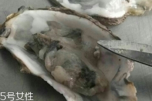 生蠔會上火嗎？烤生蠔易上火