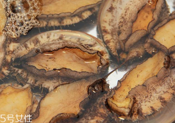 鮑魚罐頭怎么打開？像八寶粥一樣拉開