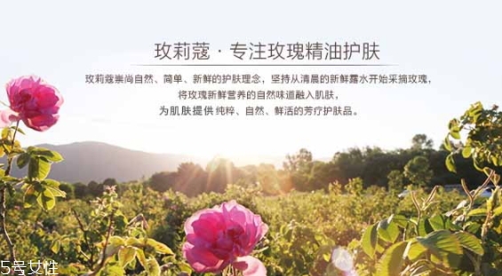 玫莉蔻護膚品怎么樣？主打玫瑰的護膚品牌
