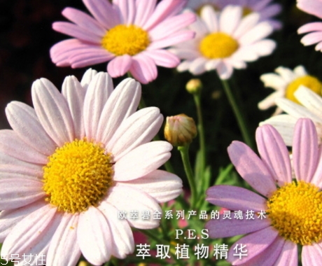 歐萃碧護(hù)膚品怎么樣？法國(guó)藥妝品牌