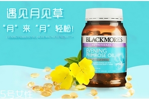 月見草油是激素嗎？不含激素成分