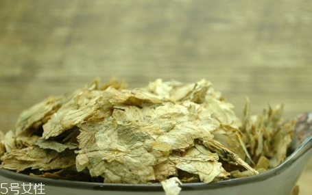 啤酒花是什么？啤酒花功效與作用