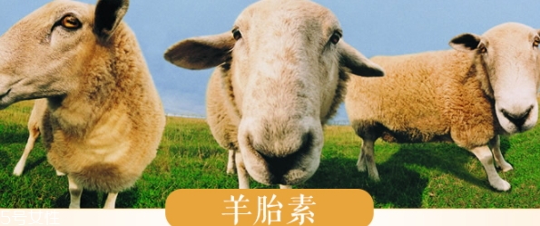 羊胎素和玻尿酸哪個好？