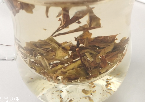白牡丹茶多少錢一斤？180元左右