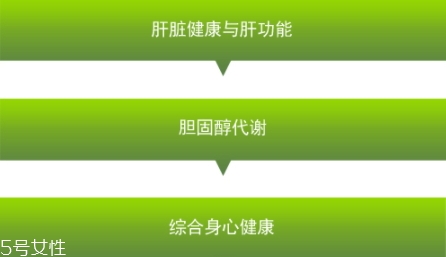 卵磷脂多少錢一瓶？人體的三大營(yíng)養(yǎng)素