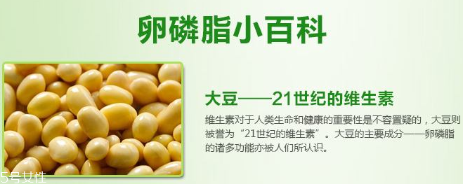 卵磷脂什么時(shí)候吃最好？早晚飯前最佳