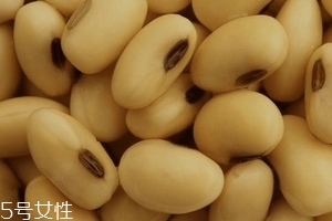 卵磷脂通乳嗎？這個還不一定