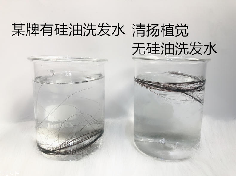 清揚0硅油洗發(fā)水好用嗎？自帶高級感香調(diào)