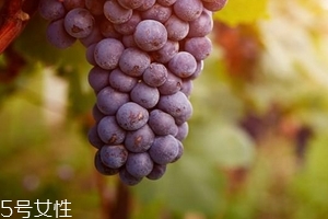 葡萄籽會(huì)影響月經(jīng)嗎？吃法正確就不會(huì)