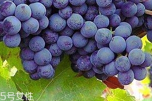 葡萄籽會長痘嗎？沒有這個情況