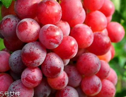 葡萄籽會(huì)發(fā)胖嗎？不會(huì)發(fā)胖