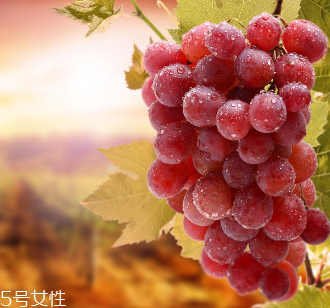 葡萄籽會影響睡眠嗎？這個肯定不會