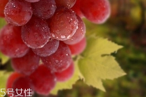 葡萄籽泡水喝有作用嗎？美容保健