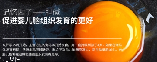 黃金素和dha可以一起吃嗎？