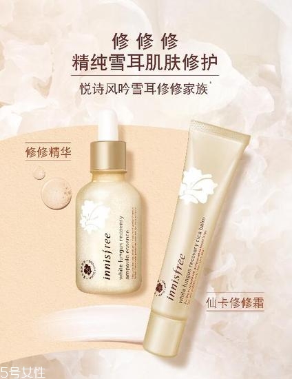 悅詩風(fēng)吟雪耳系列怎么樣 韓國熱門護膚品牌
