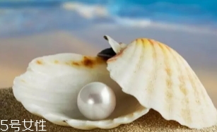 南洋珍珠是海水珍珠嗎？