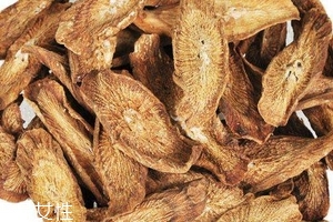 牛蒡茶是什么做的？牛蒡茶是樹(shù)根嗎？