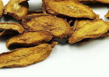 牛蒡茶是什么做的？牛蒡茶是樹(shù)根嗎？