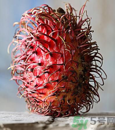 紅毛丹的核能吃嗎？紅毛丹的核可以吃嗎？