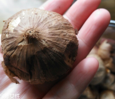 黑蒜的價格多少錢一斤？黑蒜很貴嗎？
