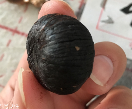 黑蒜是種植出來的嗎？黑蒜怎么來的
