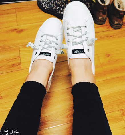 sperry鞋子多少錢？sperry鞋子的價位