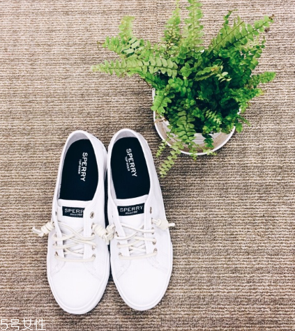 sperry鞋碼偏大嗎？sperry鞋碼選購標準