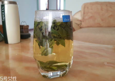 六安瓜片是什么茶？六安瓜片好喝嗎？