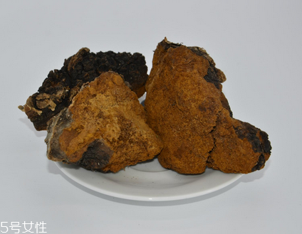 樺樹茸怎么泡水喝？樺樹茸泡水喝法