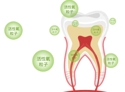牙貼怎么分上下牙貼？牙貼怎么分正反